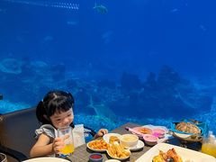 -涛·海底餐厅·美人鱼·自助餐·海底隧道(三亚海棠湾洲际度假酒店)