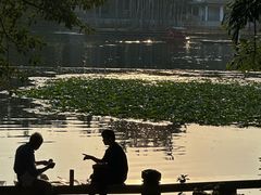 -荔湾湖公园