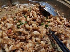 -港升鱼师傅·中山脆肉鲩