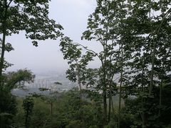 -旗山国家森林公园