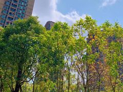 -台科花园
