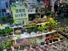 -吾悦广场(天津和平店)