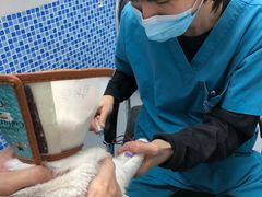 -芭比堂动物医院·心脏专科·夜诊·吉雅分院