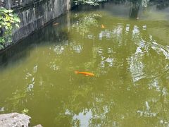 -浙江省博物馆(孤山馆区)