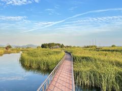 -苏州太湖湖滨国家湿地公园