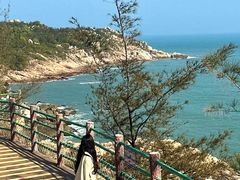 -广东惠东海龟国家级自然保护区