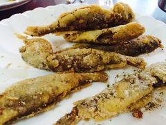 -溢心园香河肉饼总店