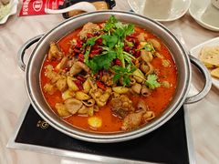 -彭记铁锅肥肠(东四总店)