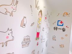 -特一安24小时宠物医院·骨科·中兽医