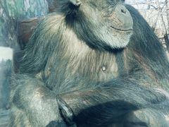 -鄂尔多斯野生动物园