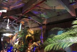 -恐龙探索乐园(磁器口店)