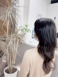 -优加东京秀烫染SALON