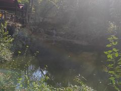 -南湖湿地公园