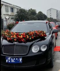 -喜乐汇·婚车(华润橡树湾3期店)