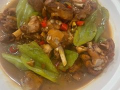 -邵年鸽(杨庄店)
