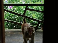 -重庆雨台山风景区