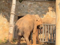 -石家庄市动物园