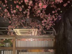 -黄家码头老火锅(解放碑旗舰店)
