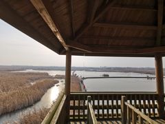 -盐城丹顶鹤湿地生态旅游区