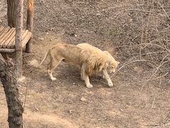 -石家庄市动物园