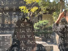 -常熟方塔园