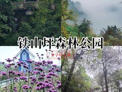 -铁山坪森林公园