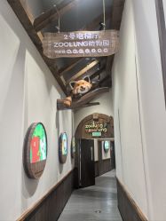 -Zoolung Zoolung动物主题公园(海信广场店)