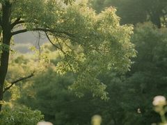 -午潮山国家森林公园