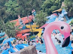 -重庆海昌加勒比海水世界