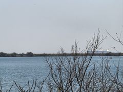 -江滩湿地公园