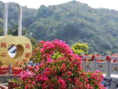 -东莞观音山旅游风景区