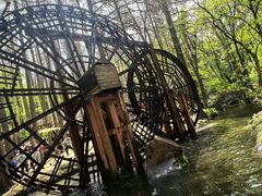 -波尔登森林公园