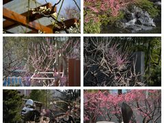 -静安雕塑公园