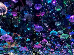 -梵高星空艺术馆(北京旗舰店)