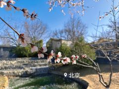 -三里河公园