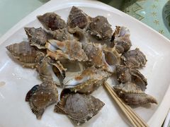 海螺-海儀美食楼(湾仔海鲜街店)