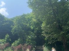 -香炉山国家森林公园