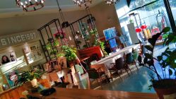 -江阴偶来路儿童摄影(江阴市新体育中心体育场店)