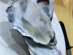 -蚝专家(北滘店)