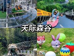 -莫干山风景区