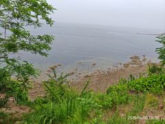 -棒棰岛宾馆景区
