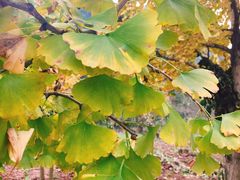 -金堂县云顶石城风景区