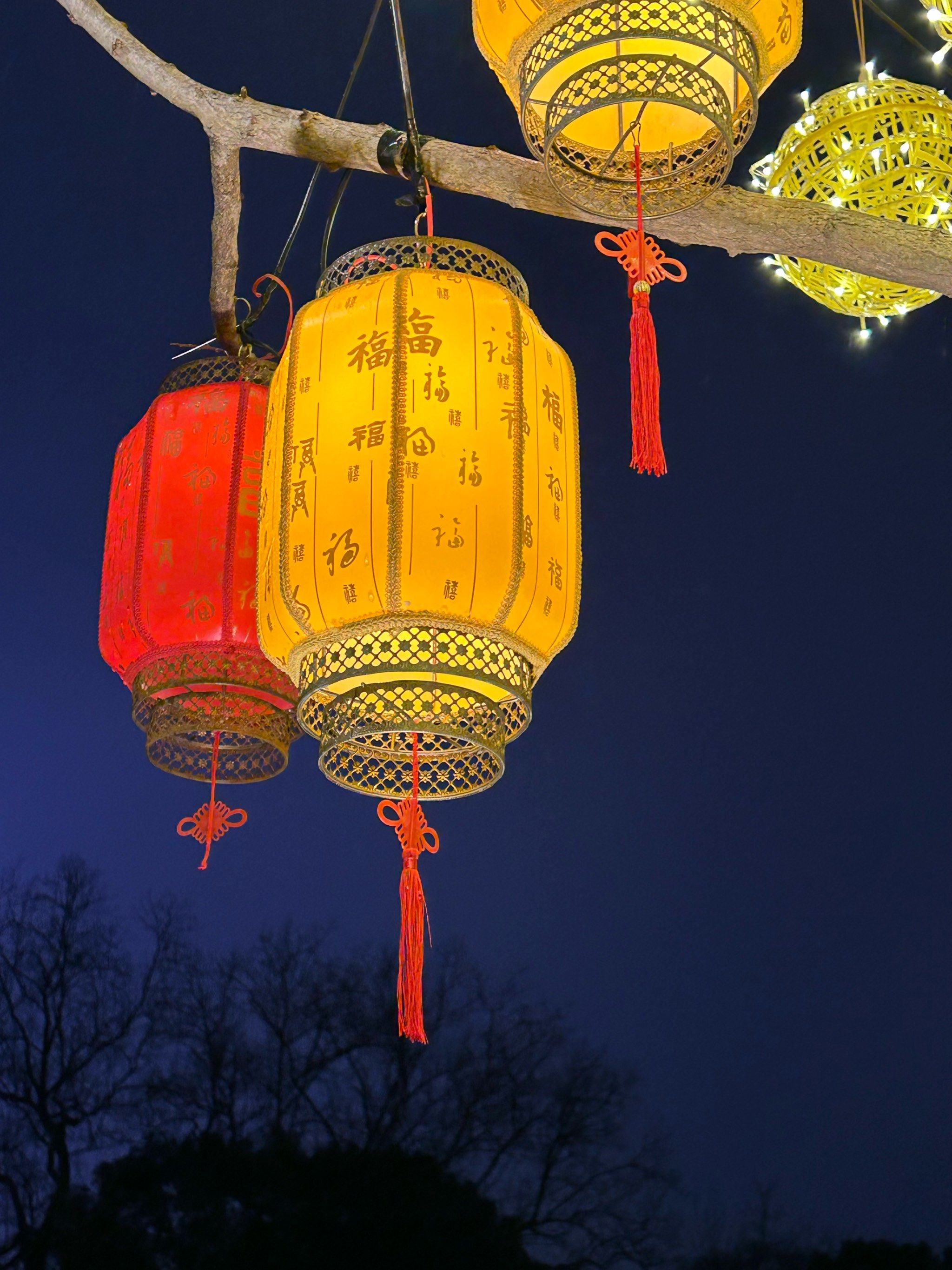 龙华寺的火树银花