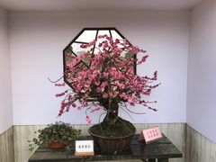 -苏州市立医院本部母子保健中心