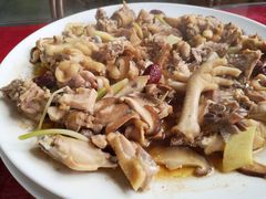 -生态苑农庄(十里画廊遇龙河店)