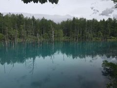 -富田农场