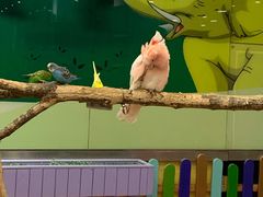 -齐齐哈尔龙沙动植物园