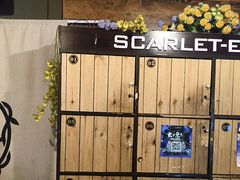 -长藤鬼校(龙翔店)