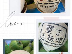 -鹅銮鼻公园