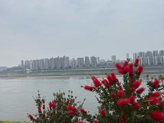 -保儿牛肉面(万象城店)